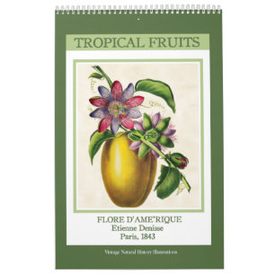 Calendário Frutas Tropicais Botânicas Vintage 2027