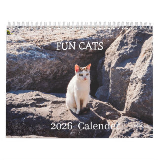 Calendário Funny Cat Photo Calendar – Whiskers and  Chaos 