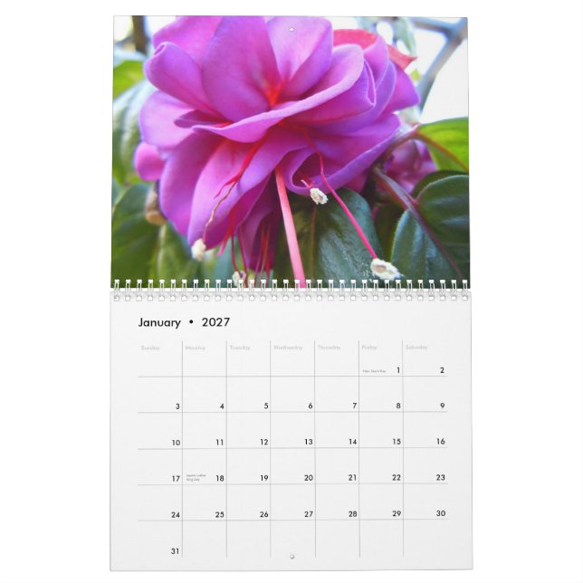 Calendário Fuschias (Jan 2027)