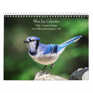 Calendário Gaio Azul 2026