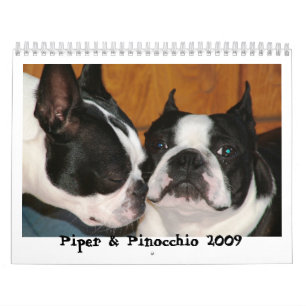 Calendário Gaiteiro & Pinocchio 2009