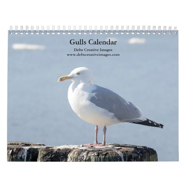 Calendário Gaivotas 2026 (Capa)
