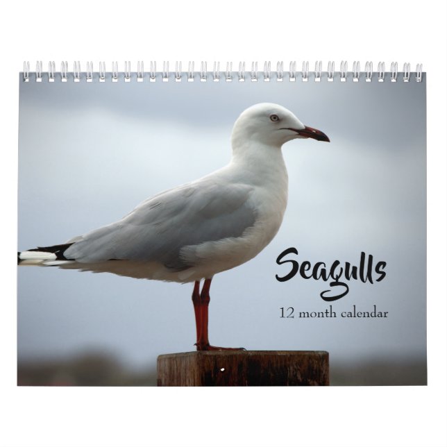 Calendário Gaivotas 2027 (Capa)