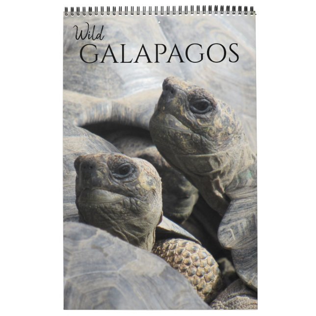 Calendário Galápagos selvagens 2025 (Capa)