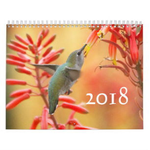 Calendário Galeria de aves