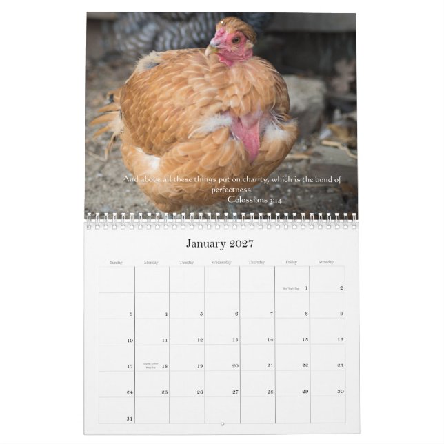Calendário Galinhas 2014 (com passagens da bíblia) (Jan 2027)