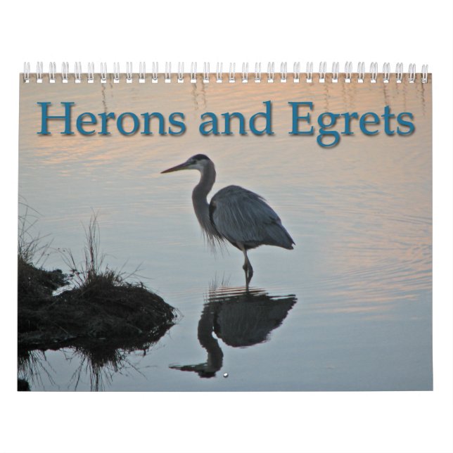 Calendário Garças-reais e Egrets (Capa)