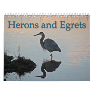 Calendário Garças-reais e Egrets