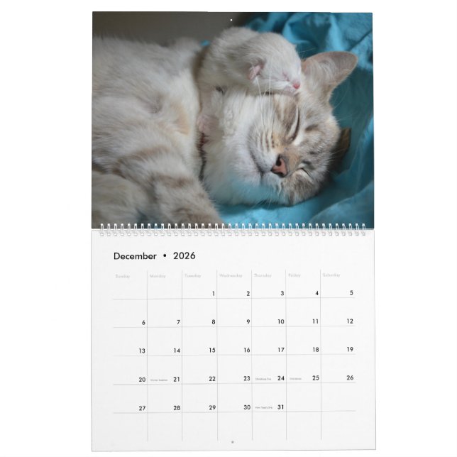 Calendário Gatinho 2020 de Gatos e Gatinhos com Sono (Dez 2026)