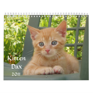 Calendário Gatinho Dax 2011