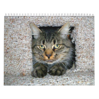 Calendário Gatinhos