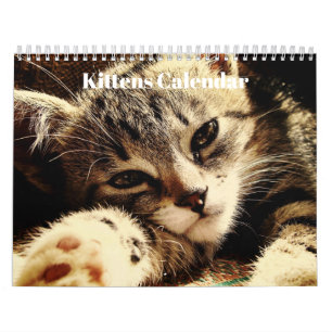 Calendário Gatinhos Bengalos Cute 2023