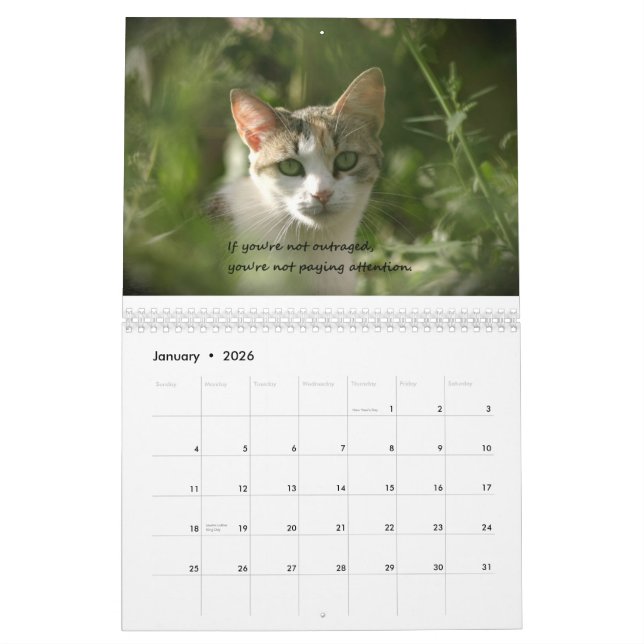 Calendário Gatinhos da consciência (Jan 2026)