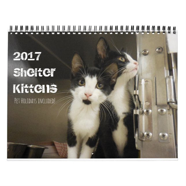 Calendário Gatinhos de abrigo 2017 (Capa)