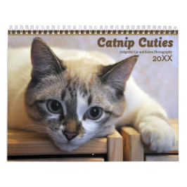 Calendário Gatinhos e Gatinhos das Catnip 2021