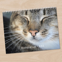 Calendário Gatinhos e Gatos Fofos Foto Pet