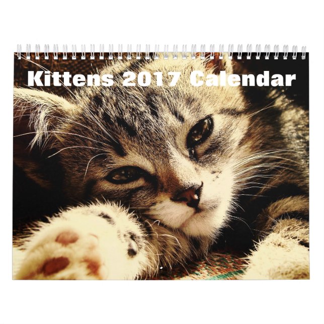 Calendário Gatinhos Frescos 2017 (Capa)