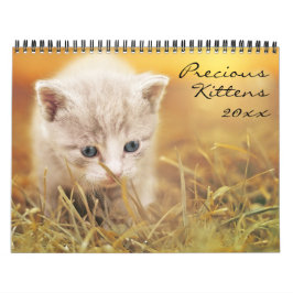 Calendário Gatinhos preciosos