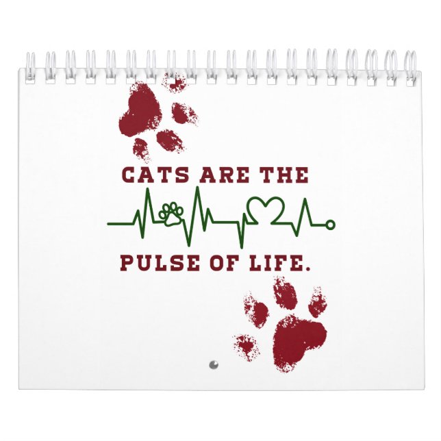 Calendário Gato (Capa)