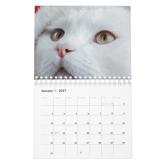Calendário Gato (Jan 2027)