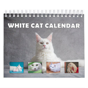 Calendário Gato Branco