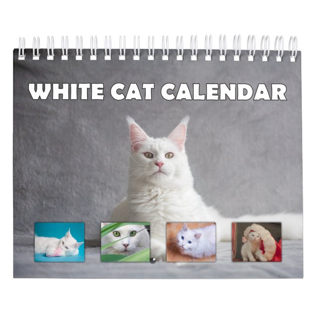 Calendário Gato Branco (Capa)