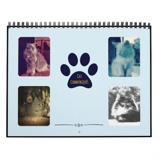 Calendário Gato Communiqués (Capa)
