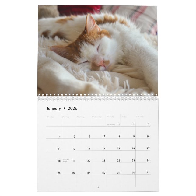 Calendário Gato e Kitten 2023 (Jan 2026)