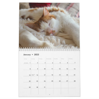 Calendário Gato e Kitten 2023