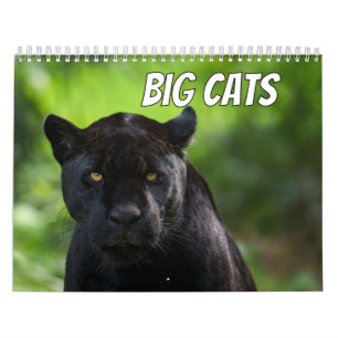 Calendário Gato Grande 2026