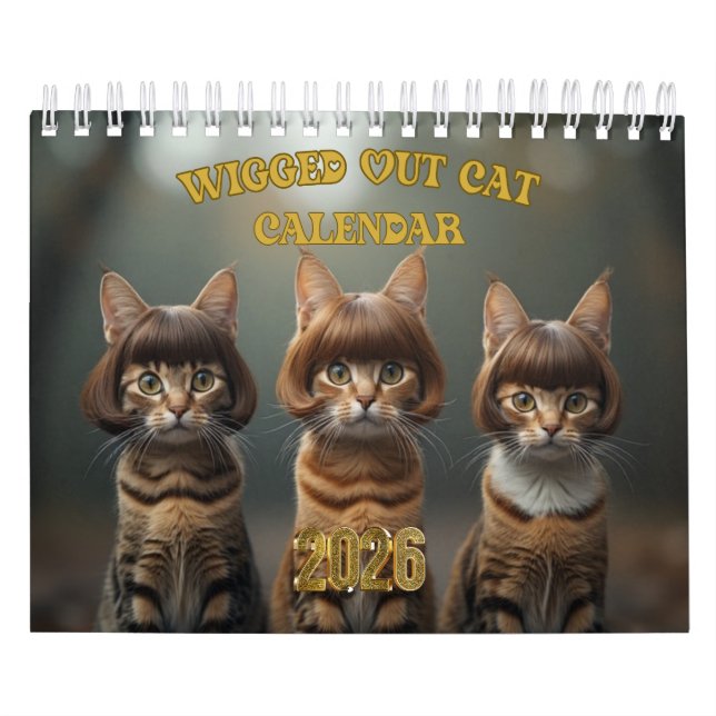 Calendário Gato maluco (Capa)