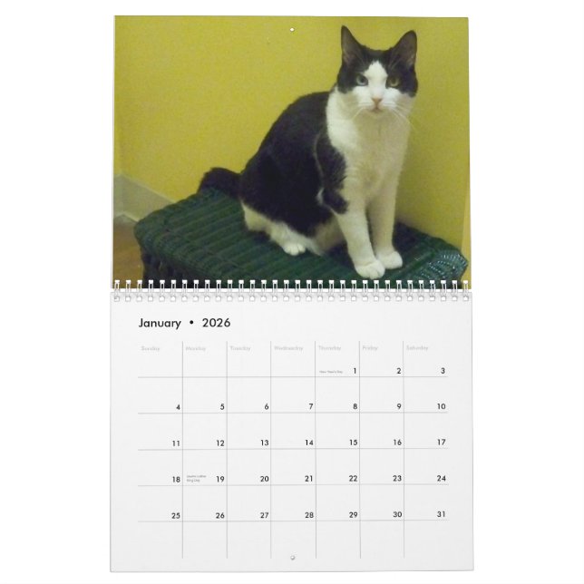 Calendário Gato "Molly " do smoking (Jan 2026)