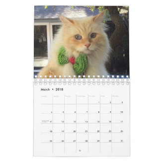 Calendário Gato Siberian da floresta