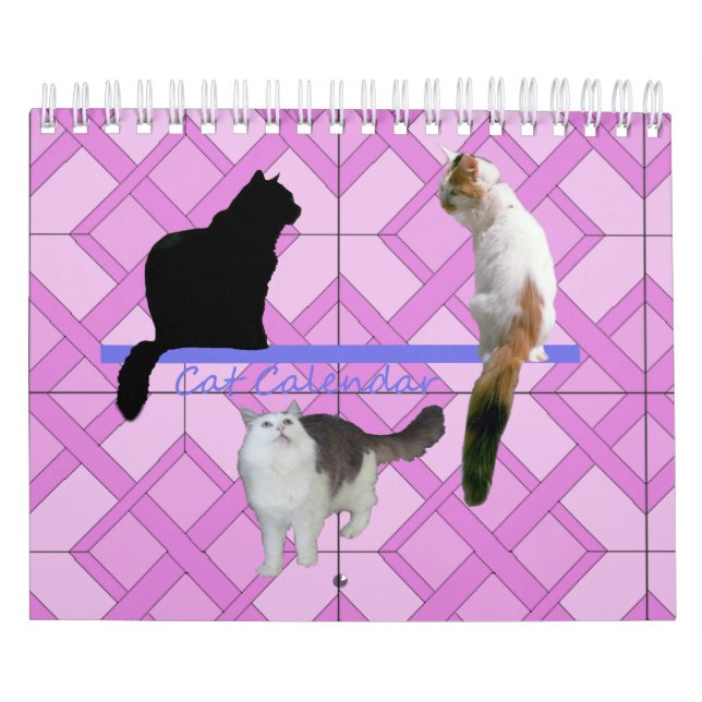 Calendário - Gatos (Capa)