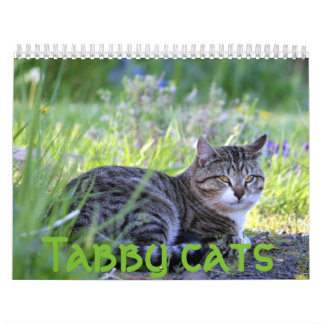 Calendário Gatos
