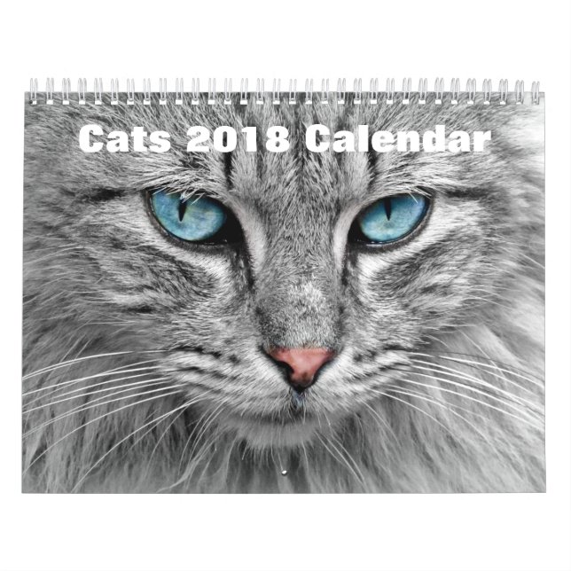 Calendário Gatos 2017 (Capa)