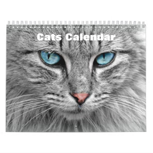 Calendário Gatos 2025