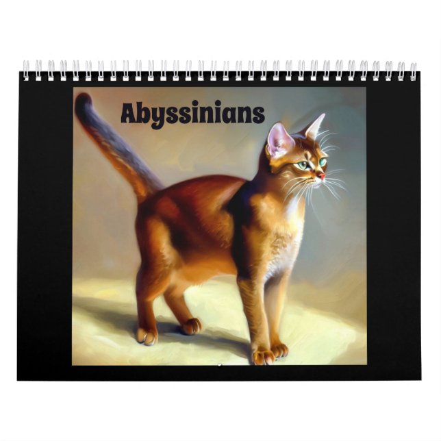 Calendário Gatos Abissinérgicos (Capa)