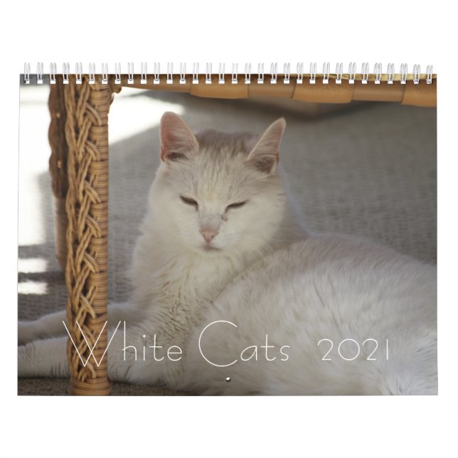 Calendário Gatos brancos 2021 (Capa)