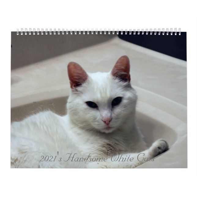 Calendário Gatos brancos bonitos de 2021 (Capa)