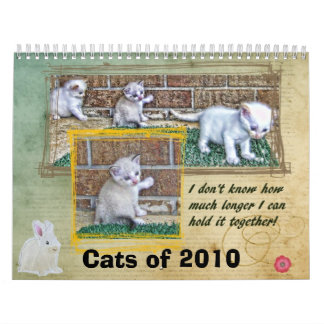 Calendário Gatos de 2010