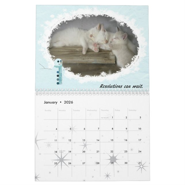Calendário Gatos de 2010 (Jan 2026)
