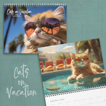 Gatos de Férias