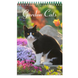 Calendário Gatos de jardim - pequeno tamanho