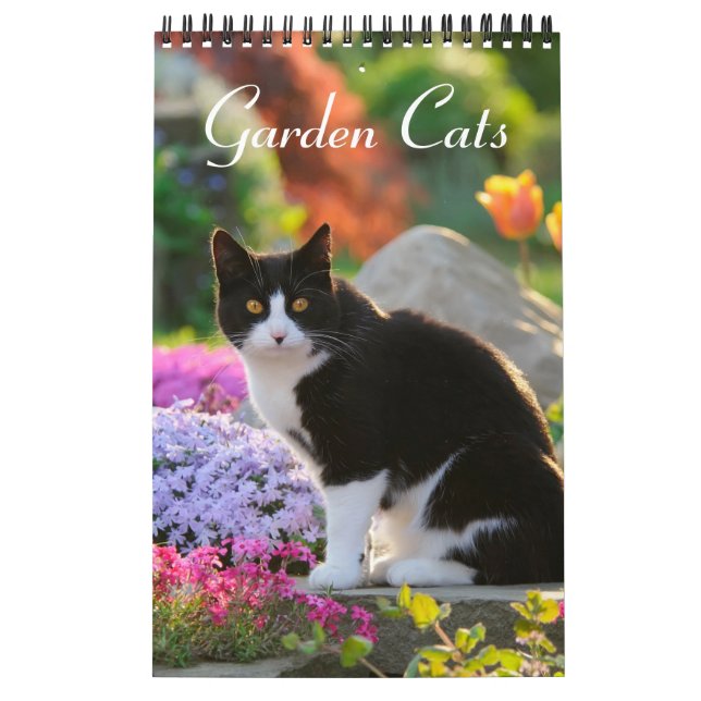 Calendário Gatos de jardim - pequeno tamanho (Capa)