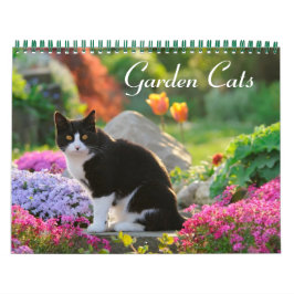 Calendário Gatos de jardim - tamanho médio
