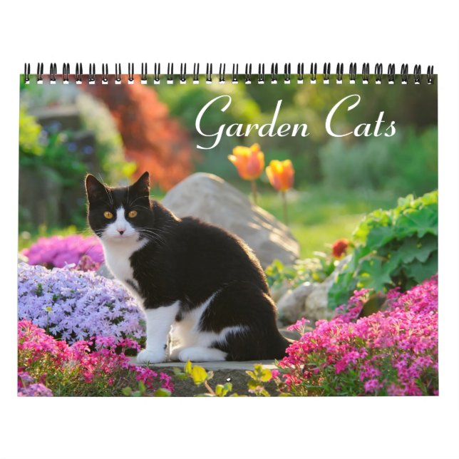 Calendário Gatos de jardim - tamanho médio (Capa)