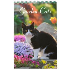 Calendário Gatos de jardim - tamanho médio