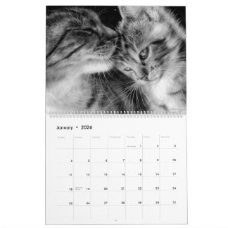 Calendário Gatos Desenhados À Mão Selvagens e Felinos Domésti
