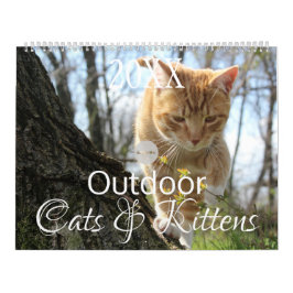 Calendário Gatos e Gatinhos ao Ar Livre HAMbWG